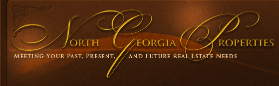 North Georgia Properties - Meeting Your Past, Present, and Future Real Estate Needs