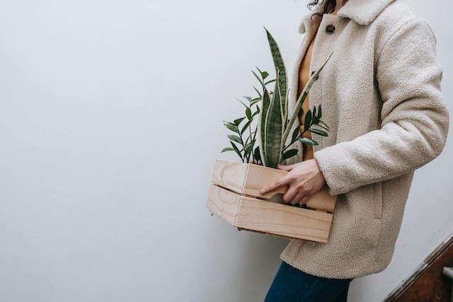 carrying a crate with a plant in it down stairs